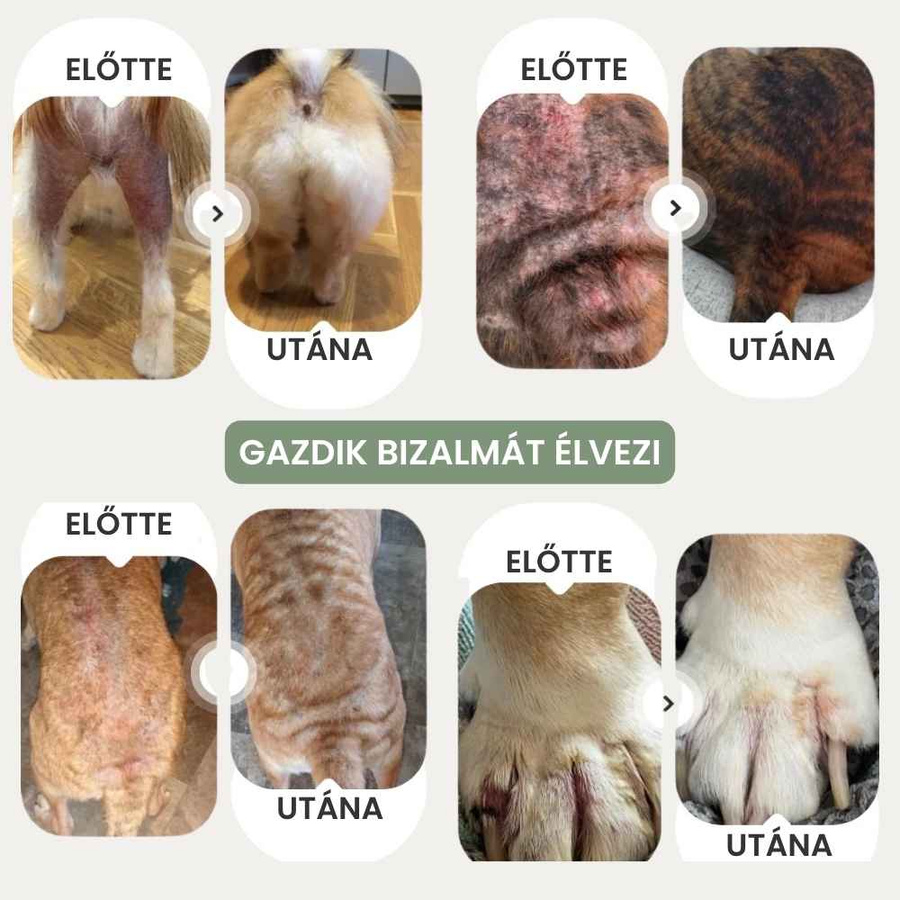 Kutyák viszketés elleni spray-je