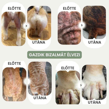 Kutyák viszketés elleni spray-je