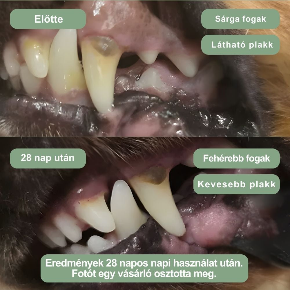 Veluna Fogászati Por Kutyáknak