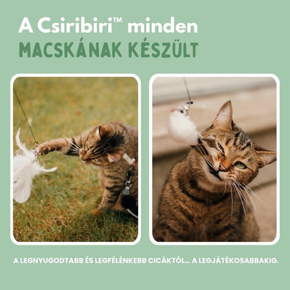 Veluna Interaktív Madár Játék Macskák Számára