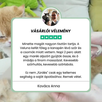 Veluna Steam Brush macskáknak