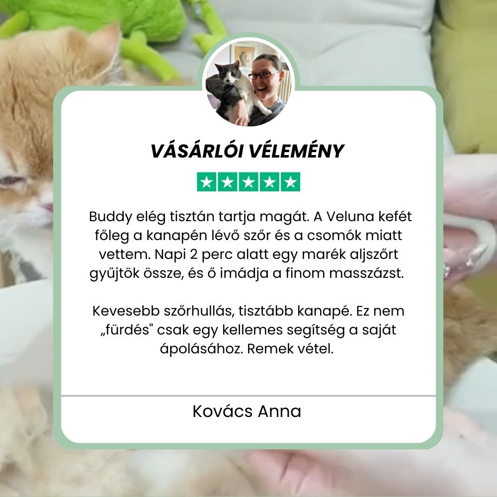 Veluna Steam Brush kutyáknak