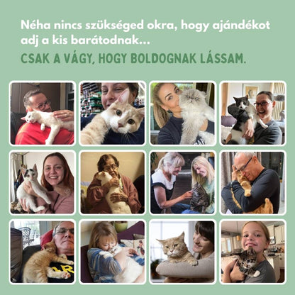 Veluna Interaktív Madár Játék Macskák Számára