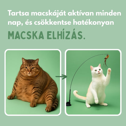 Veluna Interaktív Madár Játék Macskák Számára