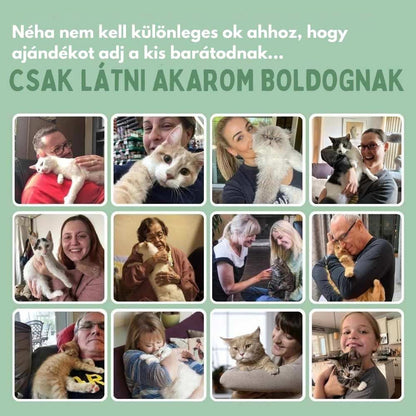 Veluna Interaktív Kaparójáték Macskáknak