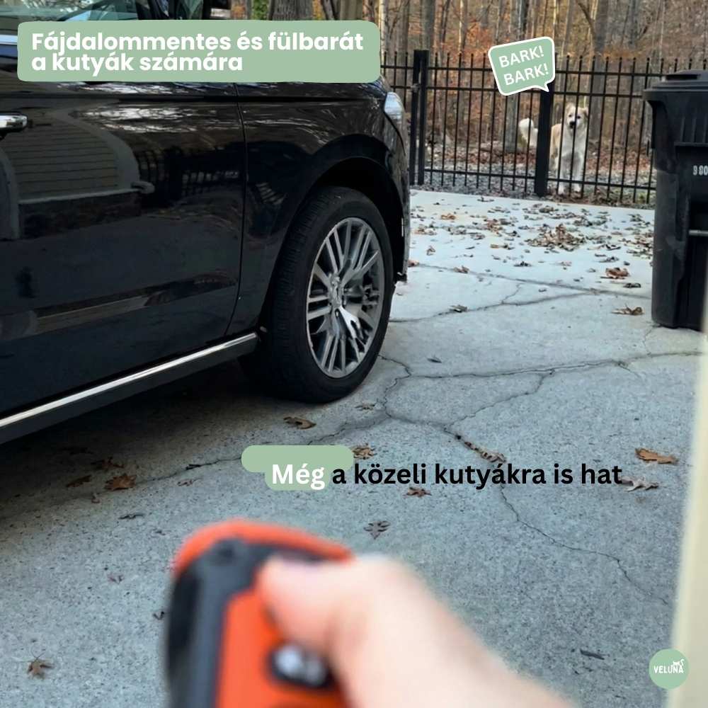 Veluna CalmPro kutyák számára
