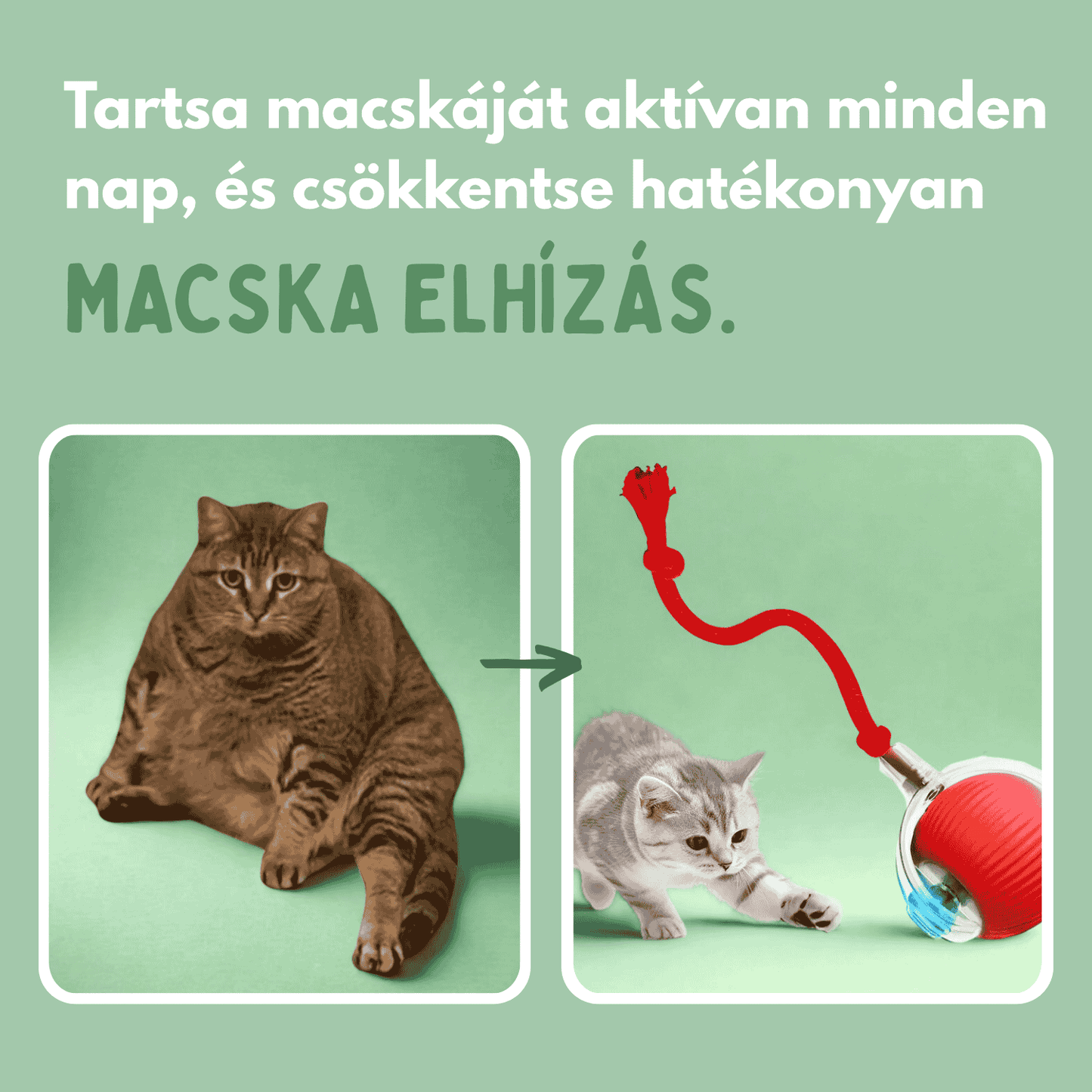 Veluna Smart Ball Macskák Számára