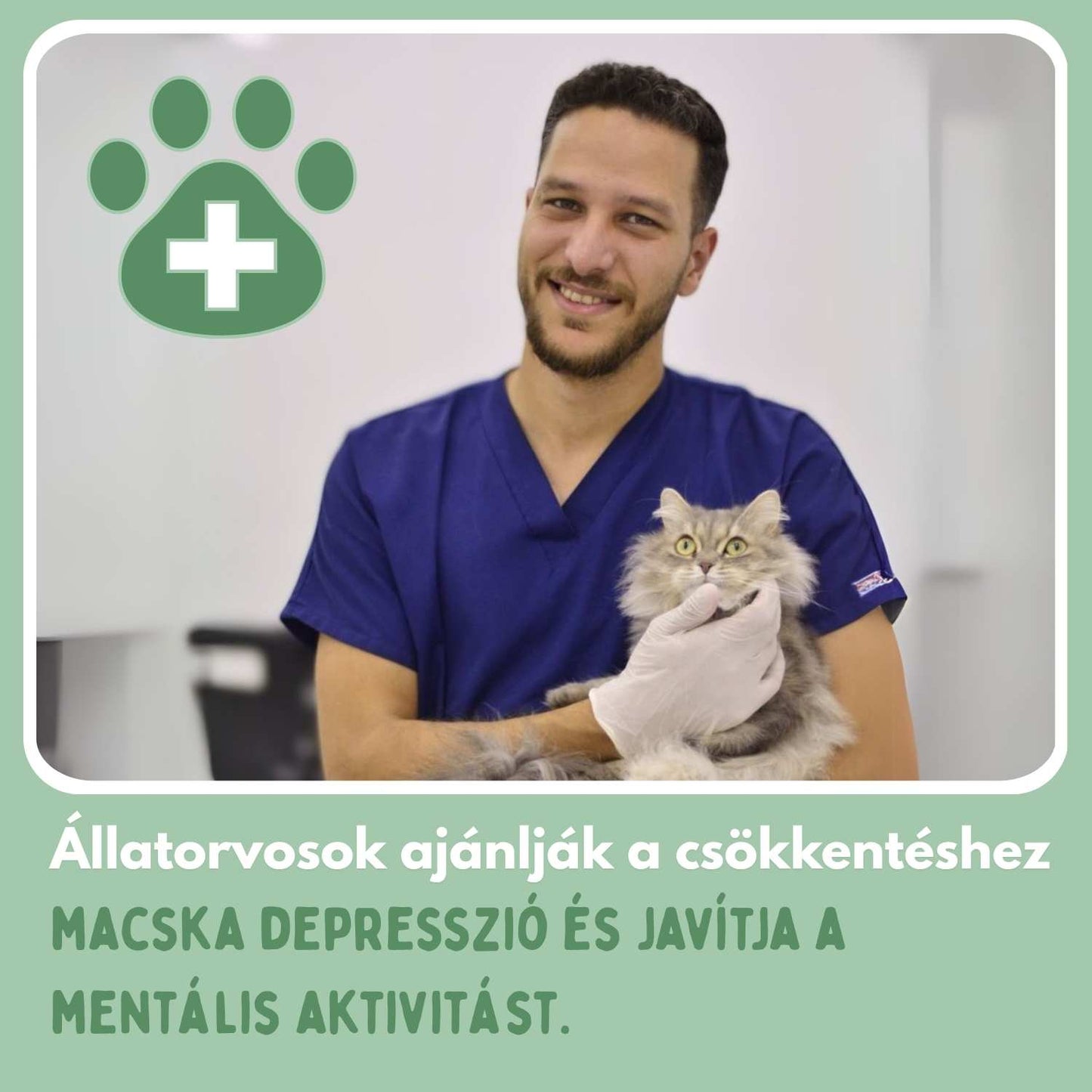 Veluna Smart Ball Macskák Számára