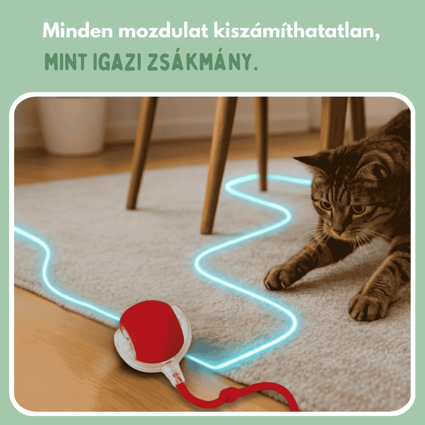 Veluna Smart Ball Macskák Számára
