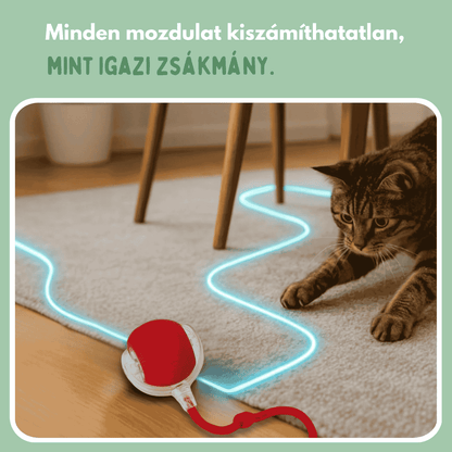 Veluna Smart Ball Macskák Számára