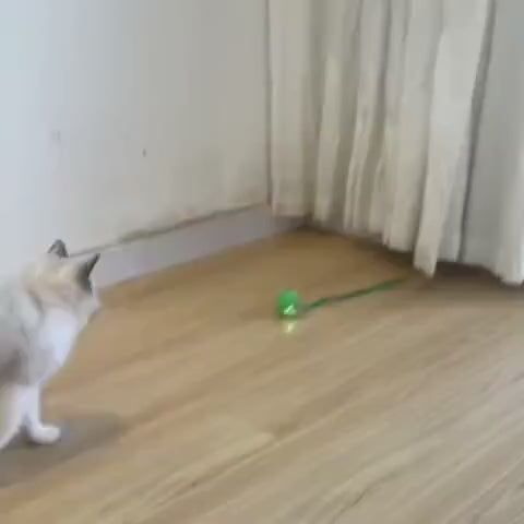 Veluna Smart Ball Macskák Számára